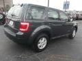 2008 Black Pearl Slate Metallic Ford Escape XLS  photo #3