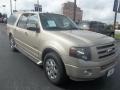 Pueblo Gold Metallic 2007 Ford Expedition EL Limited