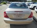 2004 Desert Silver Metallic Mercedes-Benz E 320 Sedan  photo #5