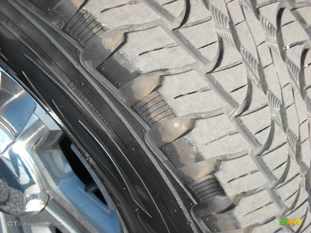 2005 F150 XLT SuperCrew - Medium Wedgewood Blue Metallic / Medium Flint/Dark Flint Grey photo #10