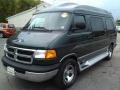 2003 Dark Spruce Metallic Dodge Ram Van 1500 Passenger Conversion  photo #1