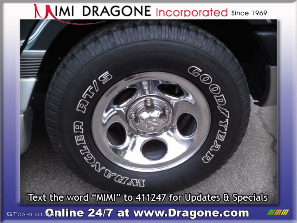 2003 Ram Van 1500 Passenger Conversion - Dark Spruce Metallic / Dark Slate Gray photo #14