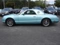 Thunderbird Blue 2002 Ford Thunderbird Premium Roadster Exterior