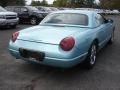 Thunderbird Blue 2002 Ford Thunderbird Premium Roadster Exterior