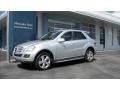 Iridium Silver Metallic - ML 350 Photo No. 1