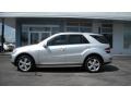Iridium Silver Metallic - ML 350 Photo No. 2