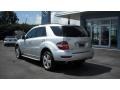 Iridium Silver Metallic - ML 350 Photo No. 3