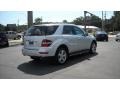 Iridium Silver Metallic - ML 350 Photo No. 5