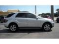 Iridium Silver Metallic - ML 350 Photo No. 6