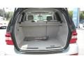 Iridium Silver Metallic - ML 350 Photo No. 18