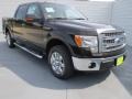 2013 Kodiak Brown Metallic Ford F150 XLT SuperCrew  photo #1