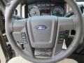  2013 F150 XLT SuperCrew Steering Wheel