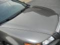 Carbon Gray Pearl - TL 3.2 Photo No. 15