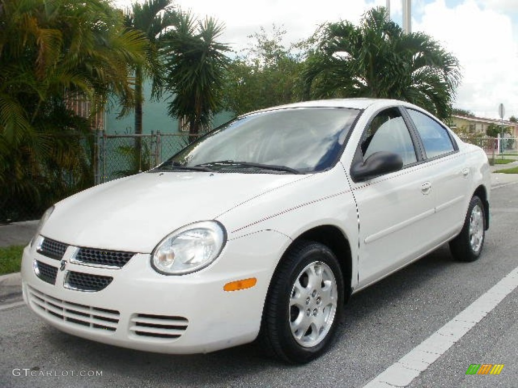 2005 Neon SXT - Stone White / Dark Slate Gray photo #1