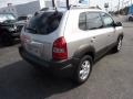 Sahara Silver - Tucson GLS V6 4WD Photo No. 7