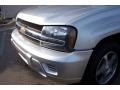 Silverstone Metallic - TrailBlazer LS 4x4 Photo No. 10