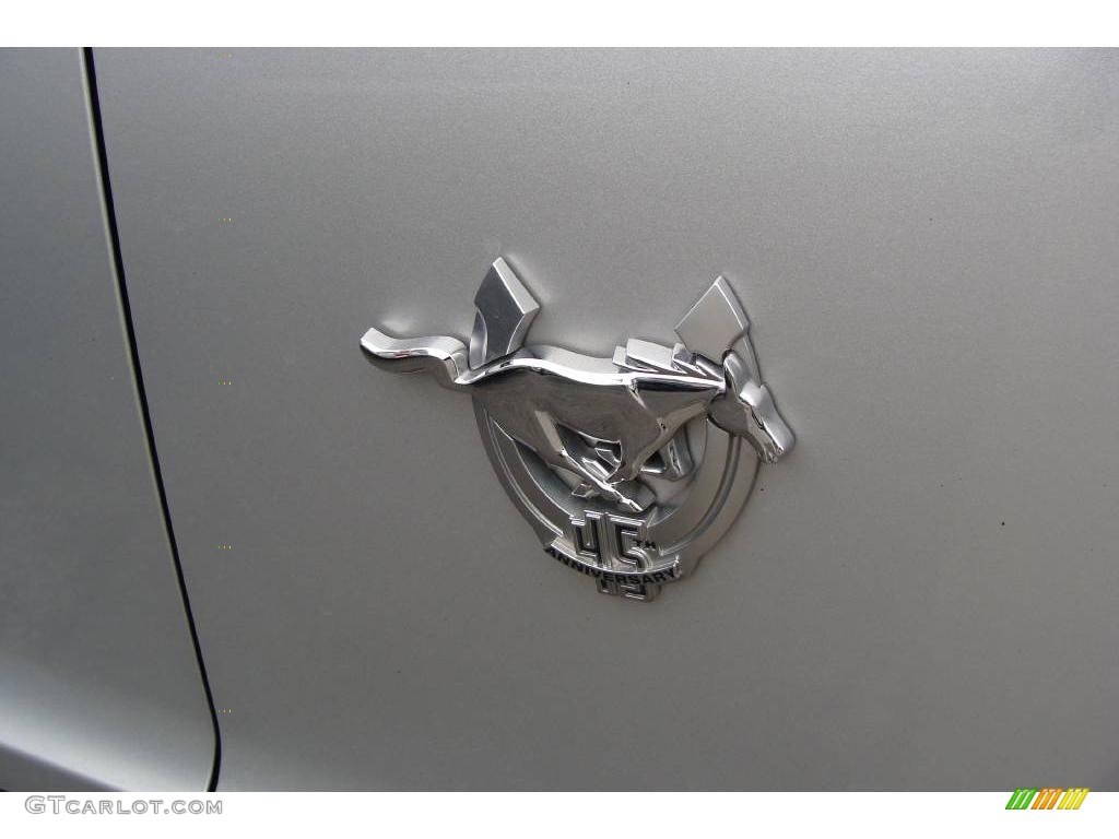 2009 Mustang V6 Coupe - Brilliant Silver Metallic / Light Graphite photo #4