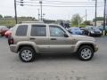 Light Khaki Metallic - Liberty Limited 4x4 Photo No. 5