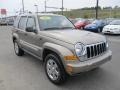 Light Khaki Metallic - Liberty Limited 4x4 Photo No. 6
