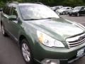 2010 Cypress Green Pearl Subaru Outback 2.5i Premium Wagon  photo #3