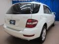 Arctic White - ML 350 4Matic Photo No. 9
