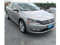 Tungsten Silver Metallic - Passat TDI SEL Photo No. 1