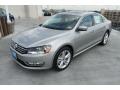 Tungsten Silver Metallic - Passat TDI SEL Photo No. 3