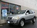 Diamond Silver Metallic 2004 Kia Sorento Gallery