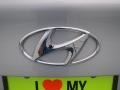 2012 Shimmering Silver Hyundai Elantra GLS  photo #16