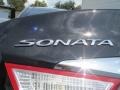Midnight Black - Sonata Limited 2.0T Photo No. 13