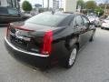 Black Raven - CTS 3.0 Sedan Photo No. 5