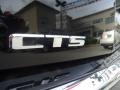 Black Raven - CTS 3.0 Sedan Photo No. 30
