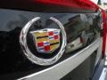 Black Raven - CTS 3.0 Sedan Photo No. 31