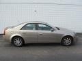 Cashmere - CTS Sedan Photo No. 2