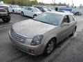 Cashmere - CTS Sedan Photo No. 5