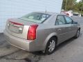 Cashmere - CTS Sedan Photo No. 9