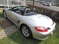 Arctic Silver Metallic - Boxster  Photo No. 26