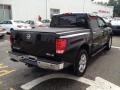 Galaxy Black - Titan LE Crew Cab 4x4 Photo No. 6