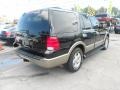 2003 Black Clearcoat Ford Expedition Eddie Bauer  photo #5