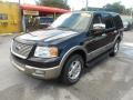 2003 Black Clearcoat Ford Expedition Eddie Bauer  photo #9