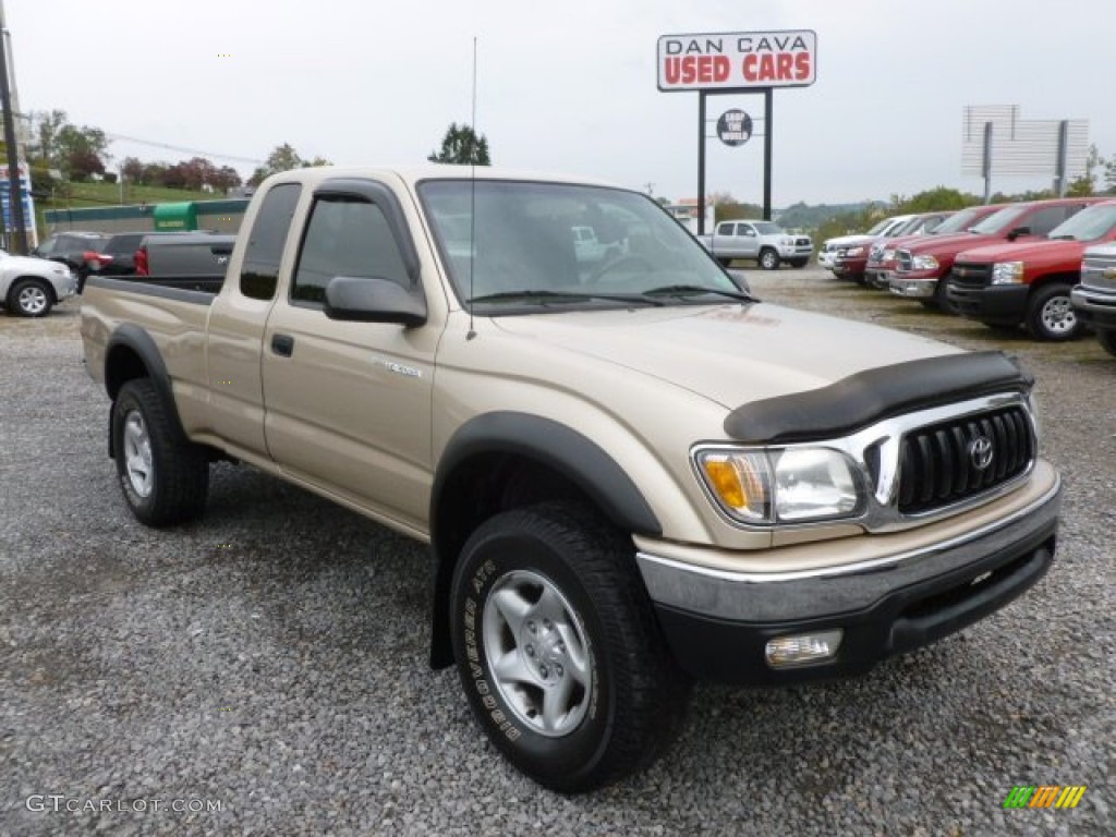 2004 Tacoma Xtracab 4x4 - Mystic Gold Metallic / Oak photo #1