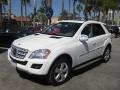 Arctic White - ML 350 4Matic Photo No. 8