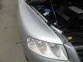 Reflex Silver Metallic - Touareg V8 Photo No. 47