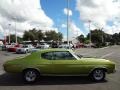1971 Antique Green Chevrolet Chevelle SS Coupe  photo #9