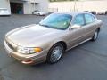 Light Bronzemist Metallic - LeSabre Custom Photo No. 2