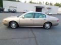 Light Bronzemist Metallic - LeSabre Custom Photo No. 3