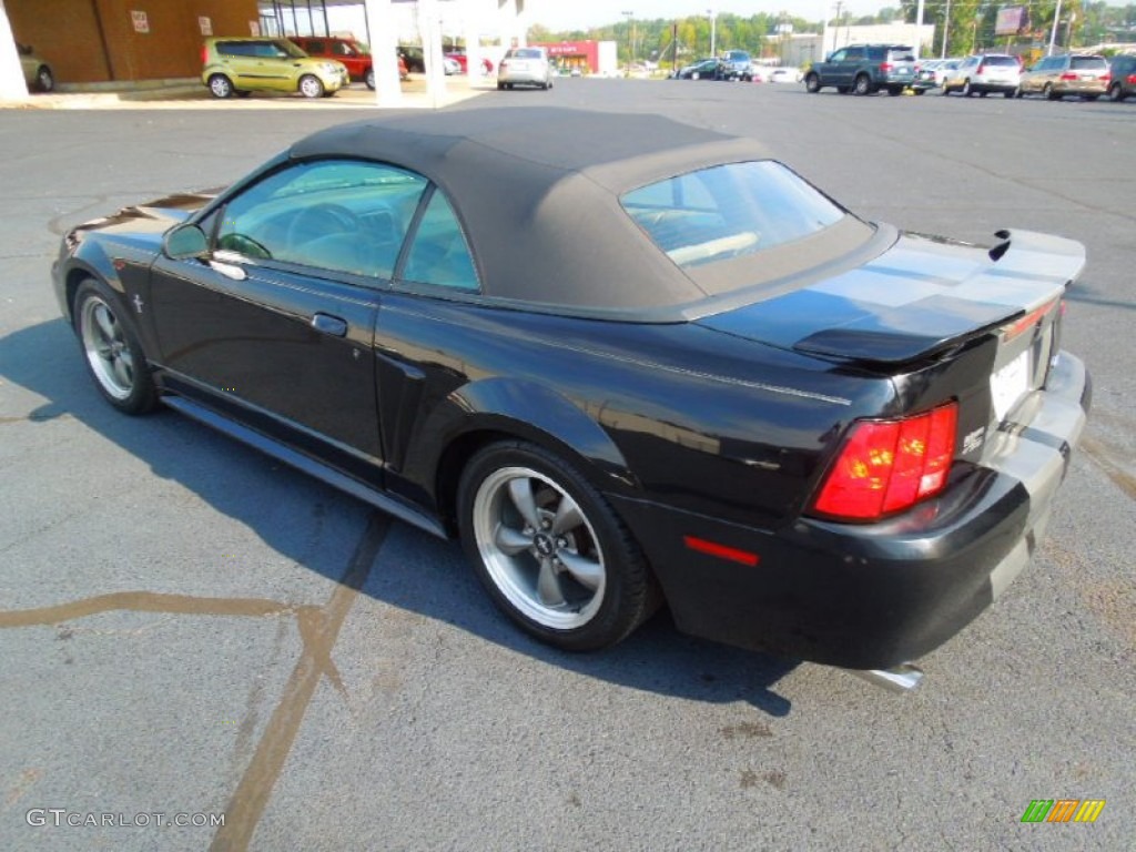2003 Mustang V6 Convertible - Black / Medium Parchment photo #5