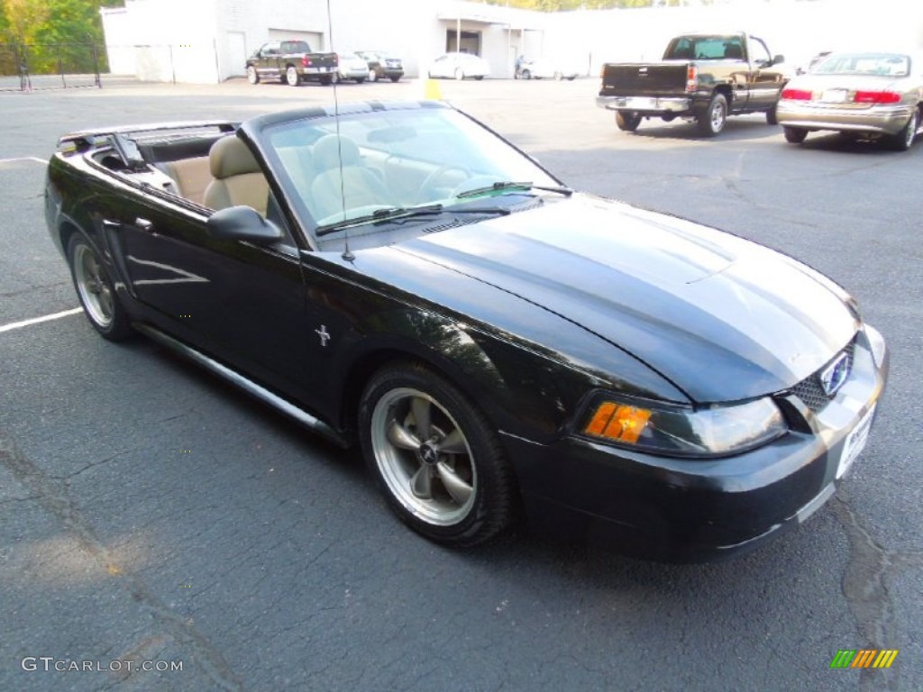 2003 Mustang V6 Convertible - Black / Medium Parchment photo #25