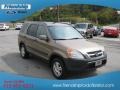 2004 Mojave Mist Metallic Honda CR-V EX 4WD  photo #4
