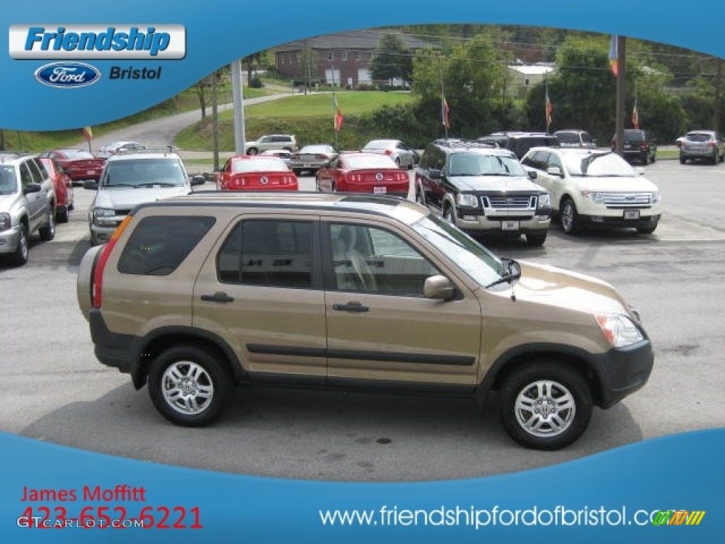 2004 CR-V EX 4WD - Mojave Mist Metallic / Saddle photo #5
